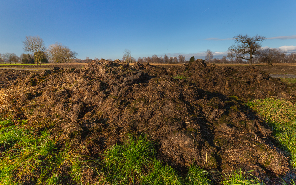 Lauteracherried im Jänner 38